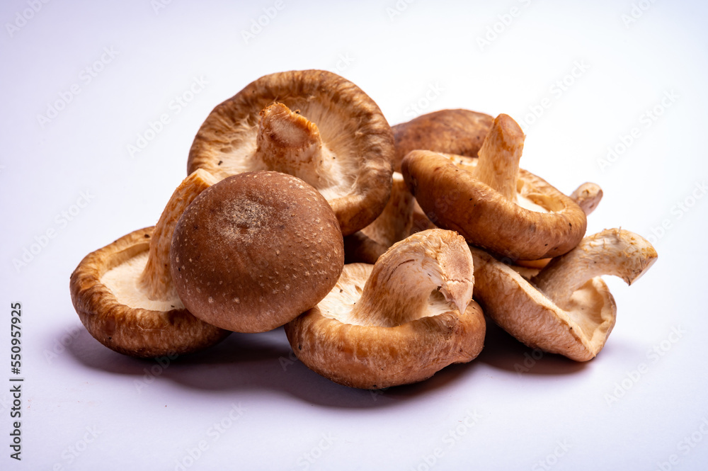 Fresh brown Lentinula edodes or shiitake edible mushrooms isolated on white background Fresh brown Lentinula edodes or shiitake edible mushrooms isolated on white background