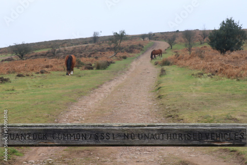 A wooden sign across a gravel track on the Quantock hills in Somerset, prohibits unauthorised vehicles from entering