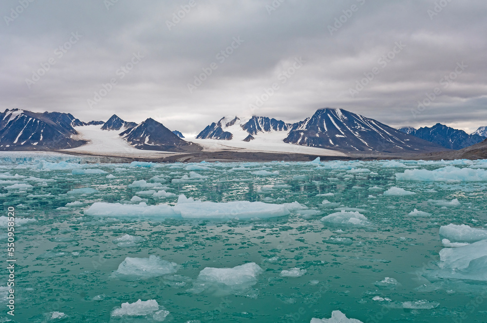 Rich Colors in an Arctic Habitat