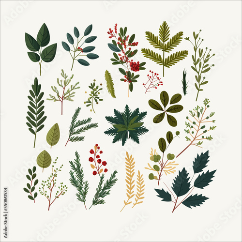 Christmas tree, pine and fir, leaf branch, winter holly berry. Fir branches, wreaths, leaf, Christmas decoration isolated on white background