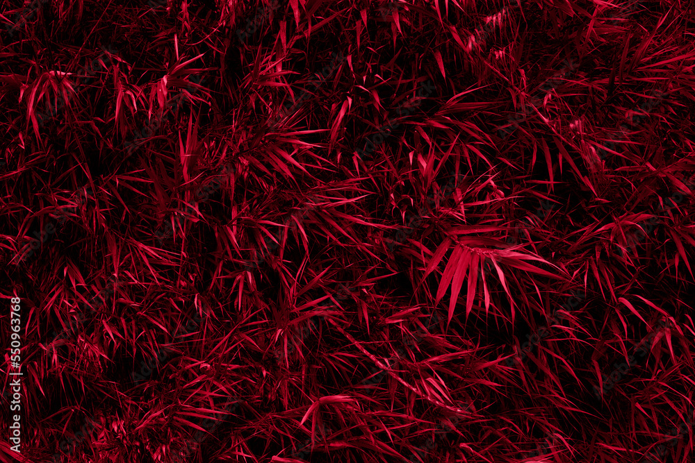 Deep red magenta bamboo leaves full frame