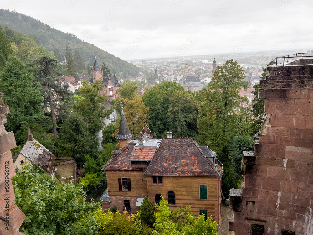 The roofs of the historic houses in Heidelberg.