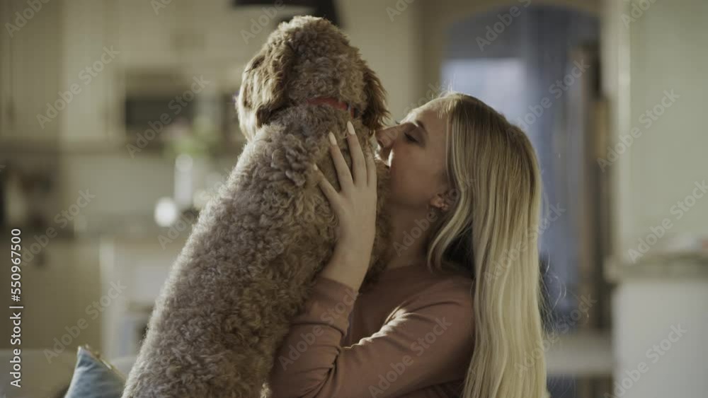 Close up of girl sitting on sofa petting and scratching pet dog / Highland, Utah, United States Close up of girl sitting on sofa petting and scratching pet dog / Highland, Utah, United States