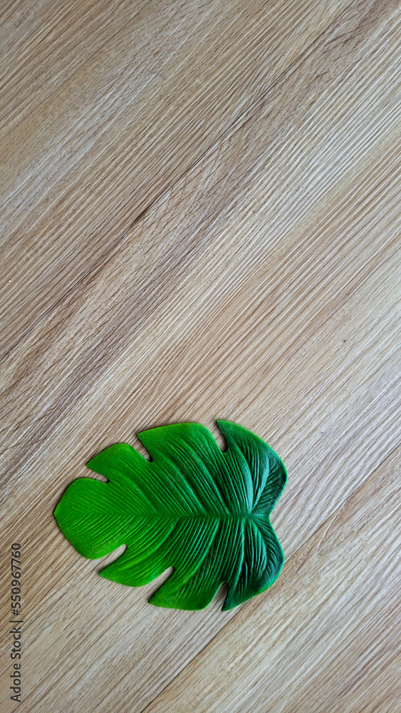green leaf on rustic wooden background