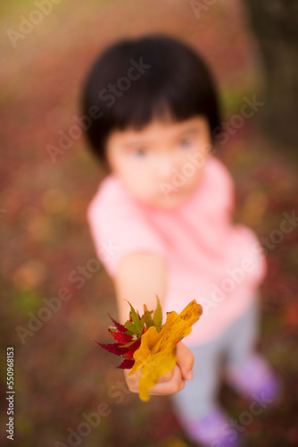 紅葉が綺麗な公園で自然を楽しむ3歳の女の子