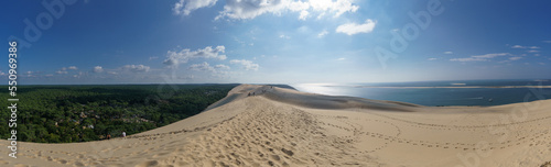 Panorama of sandy dune du Pilat  the biggest sand dune in Europe with the pine forest  Arcachon  Nouvelle-Aquitaine  France
