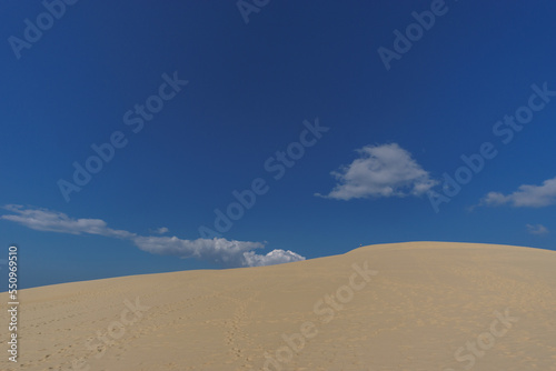 Sand dune and blue cloudy sky  Dune du Pilat  Arcachon  Nouvelle-Aquitaine  France