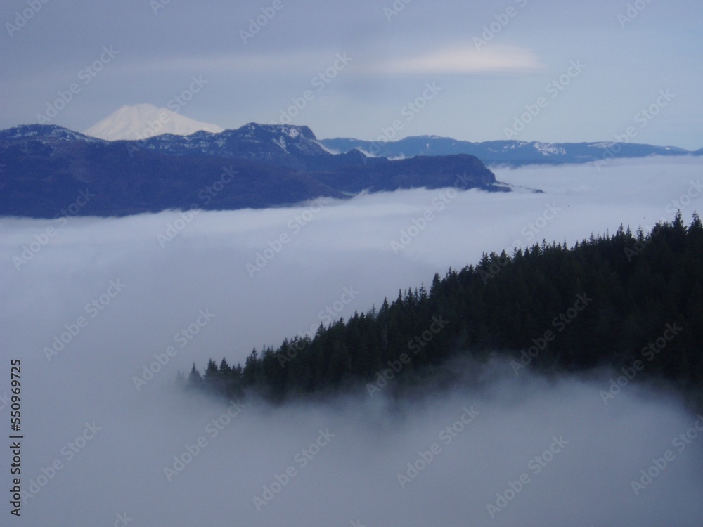 Fototapeta premium Columbia River Fog