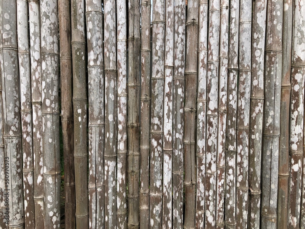 old wooden fence old wooden fence
