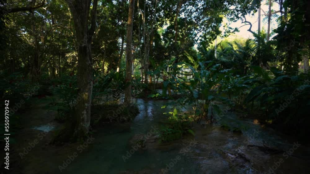 Caribbean Jungle. Dunn’s River Falls & Park | Jamaica | Ocho Rios Coast | Tranquility Garden. Tropical plants, mountain river and palm trees in the park. Caribbean Jungle. Dunn’s River Falls & Park | Jamaica | Ocho Rios Coast | Tranquility Garden. Tropical plants, mountain river and palm trees in the park.