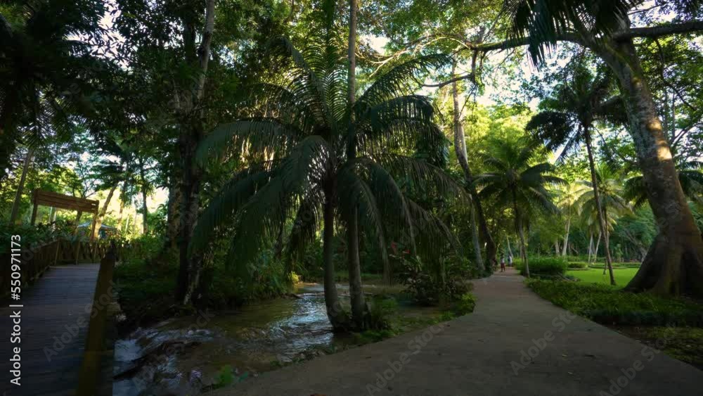 Caribbean Jungle. Dunn’s River Falls & Park | Jamaica | Ocho Rios Coast | Tranquility Garden. Tropical plants, mountain river and palm trees in the park. Caribbean Jungle. Dunn’s River Falls & Park | Jamaica | Ocho Rios Coast | Tranquility Garden. Tropical plants, mountain river and palm trees in the park.