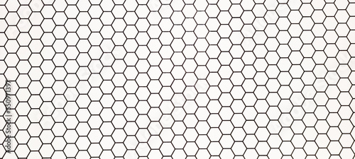 checkered white background with black lines