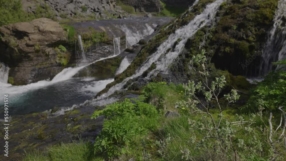 Foliage near water flowing at scenic waterfall / Iceland Foliage near water flowing at scenic waterfall / Iceland