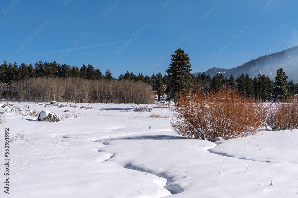 Snow covered meadow along the Lam Watah Nature Trail at Lake Tahoe in Nevada