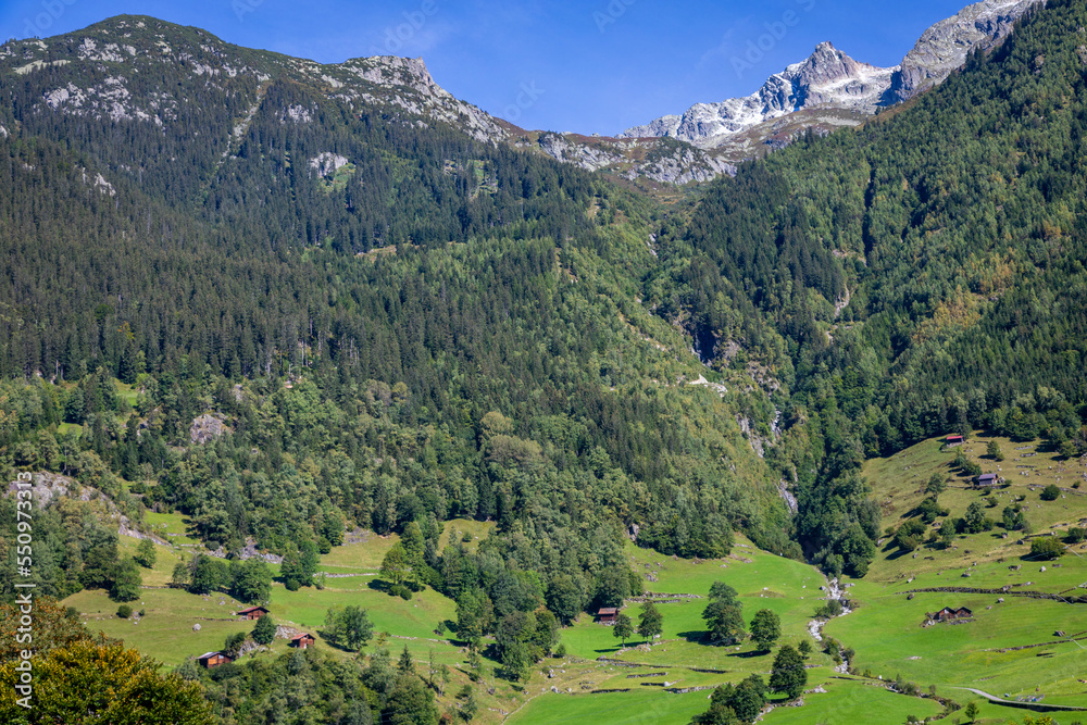 Idyllic landscape of village in Graubunden Canton, Swiss Alps, Switzerland