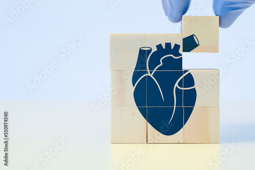 Donor, heart disease. Cardiology and medical care for heart problems. Chf cardiomyopathy, myocarditis, arrhythmia. The hand sorts the wooden cubes with anatomy icons