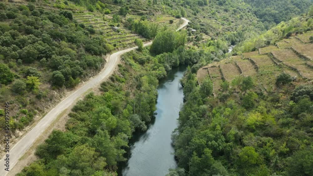 Aérea: Vista panorámica de un río que fluye en medio de un paisaje verde con viñas a los lados - Galicia, España