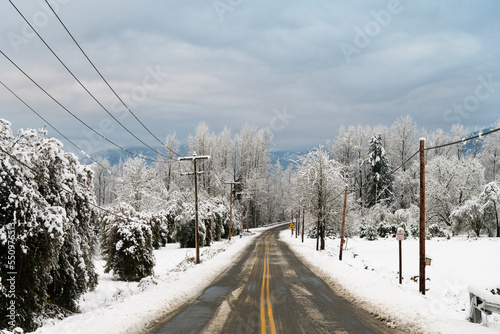 Slush on a road with snow on roadside, trees, and telephone poles under a cloudy sky in winter