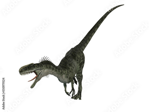 3d digital render of a dinosaur  a type of raptor  with transparent background. 