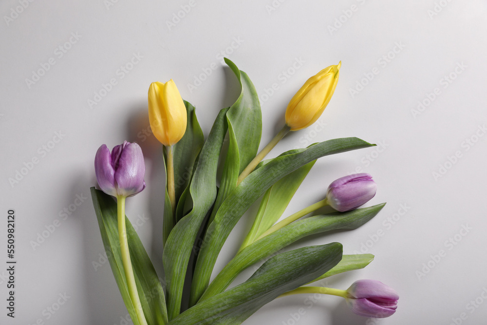 Beautiful tulips on light grey background, flat lay Beautiful tulips on light grey background, flat lay