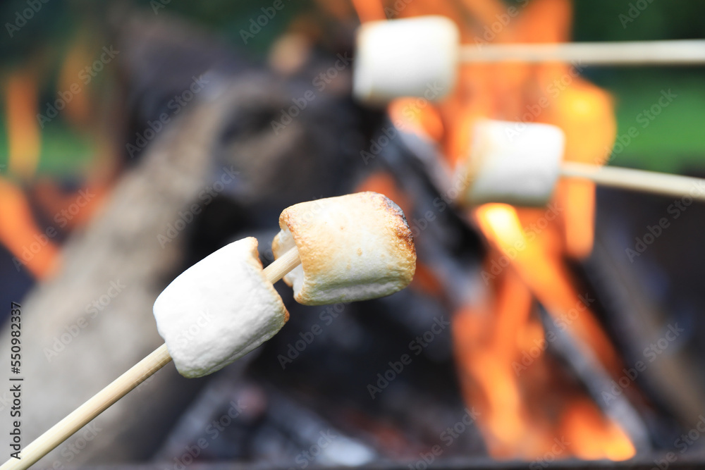 Delicious puffy marshmallows roasting over bonfire, closeup. Space for text Delicious puffy marshmallows roasting over bonfire, closeup. Space for text