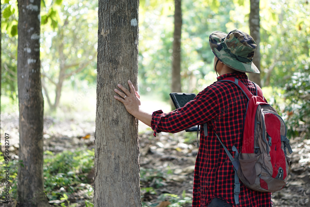 Asian man botanist wears hat , red plaid shirt and backpack, holds smart tablet to check and survey trees in forest. Concept, using smart device technology to manage environment and research trees. Asian man botanist wears hat , red plaid shirt and backpack, holds smart tablet to check and survey trees in forest. Concept, using smart device technology to manage environment and research trees.