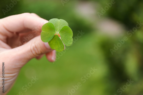 Woman holding beautiful green four leaf clover outdoors, closeup. Space for text