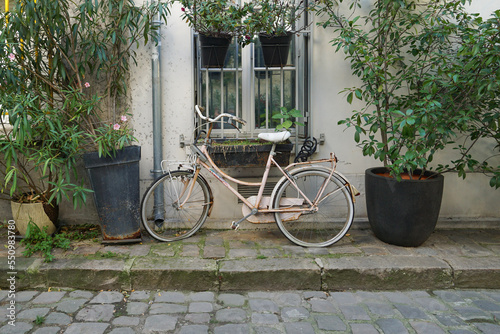 Paris, France - A vintage pale pink bicycle leaning against a building on Rue Cremieux,  a pedestrian street in the 12th arrondissement known for quaint painted housefronts. photo