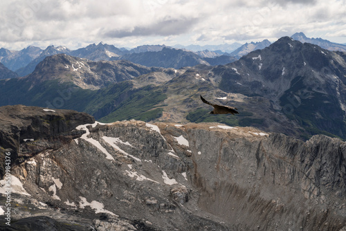 View of an Andean condor, Vultur gryphus, flying over glacier Alerce and Tronador hill, in Patagonia Argentina. photo