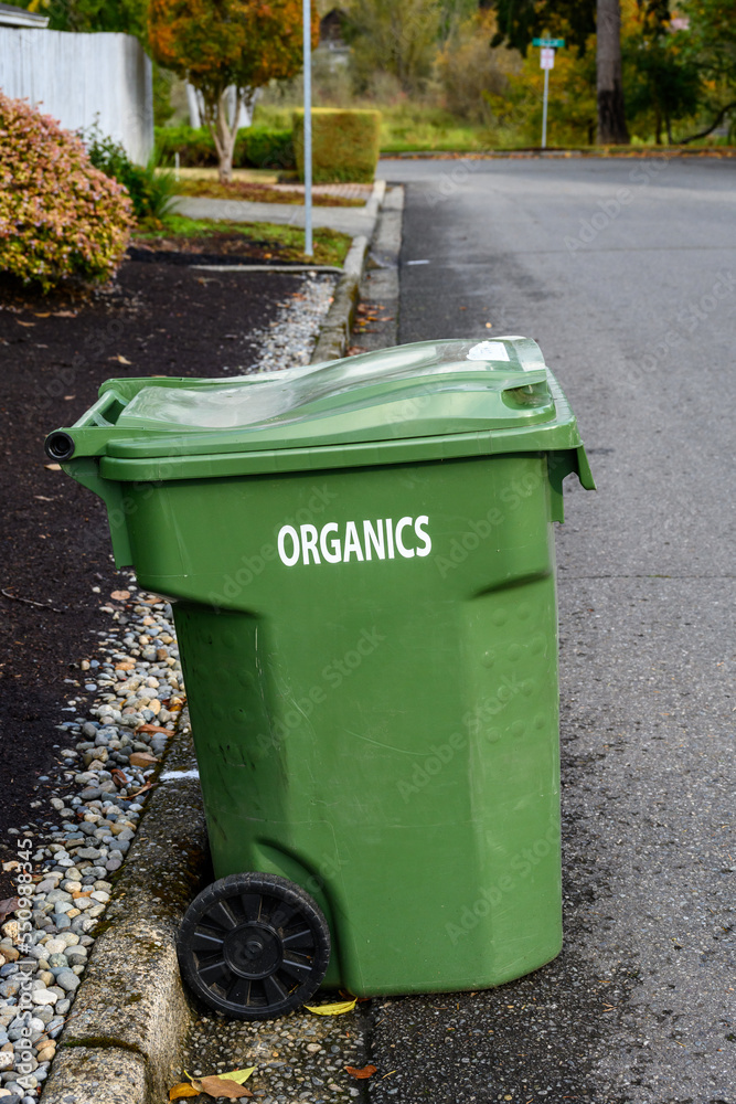 Garbage day, large plastic green yard waste bin sitting out at the curb