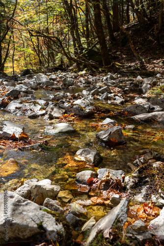 Hiking Trail River at West Odaidai in Odaigahara, Nara Prefecture