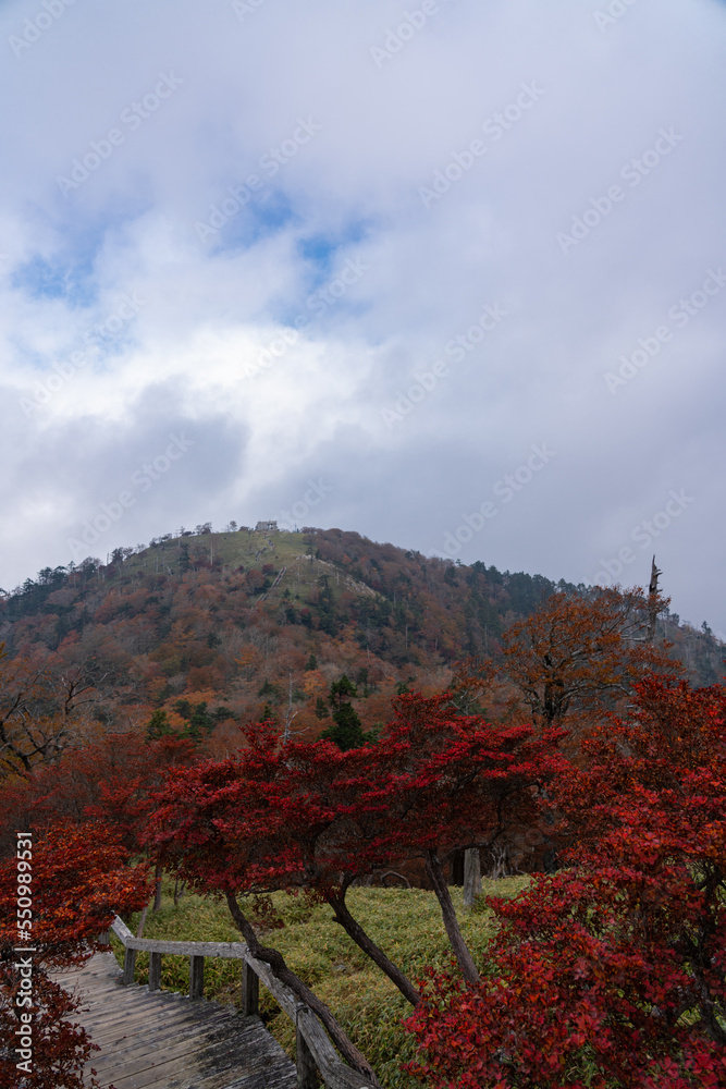 Fototapeta premium 奈良県の大台ケ原・東大台の日出ヶ岳