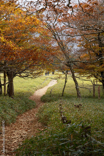 Hiking Trails in Odaigahara, Nara Prefecture photo