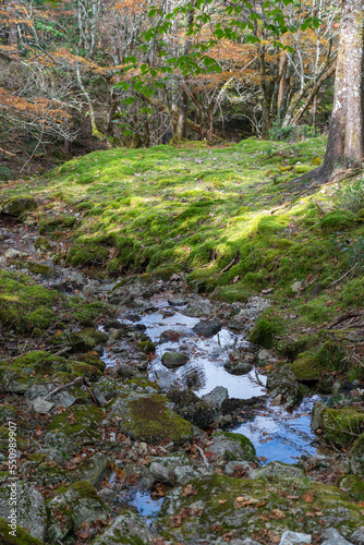 Hiking Trails in Odaigahara, Nara Prefecture