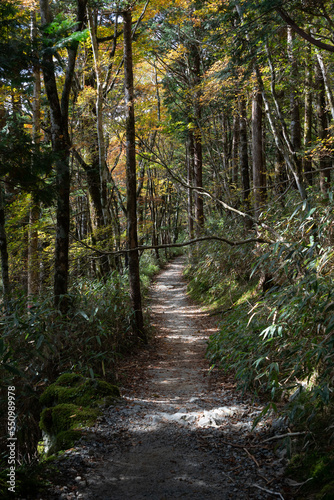 Hiking Trails in Odaigahara  Nara Prefecture