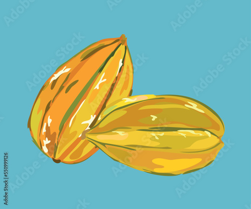 star fruit vector illustration