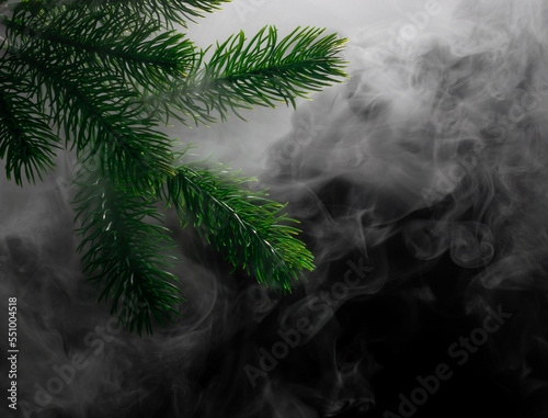 The green branches of a fir tree shrouded in clouds of smoke on a black background