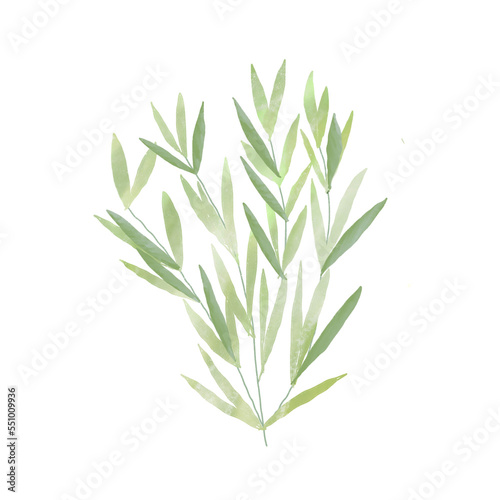 Leaves watercolor style png