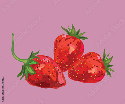  strawberries fruit vector illustration