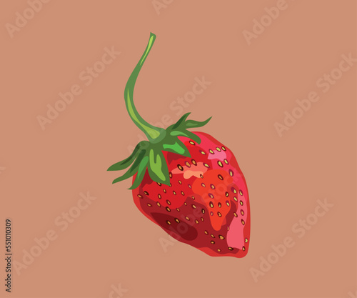  strawberry fruit illustration
