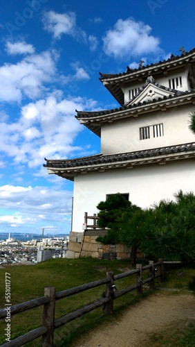香川県　晴天の丸亀城天守閣