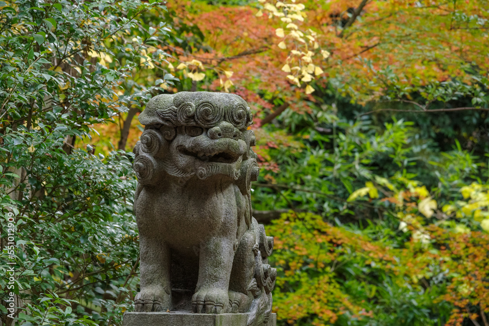 赤坂氷川神社の狛犬と紅葉