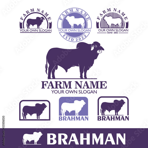 FARM COMPANY LOGO, silhouette of great brahman bull standing vector illustrations photo