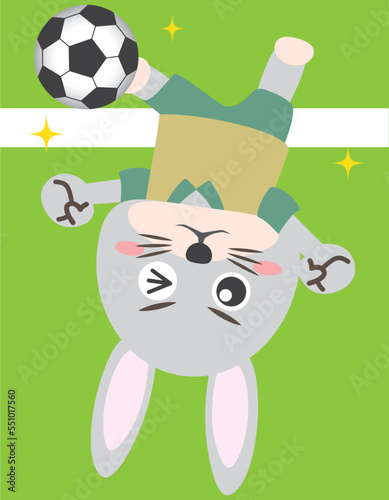 うさぎ　兎　卯年　動物　スポーツ　サッカー　ボール　キック　シュート　ライン上　オンライン