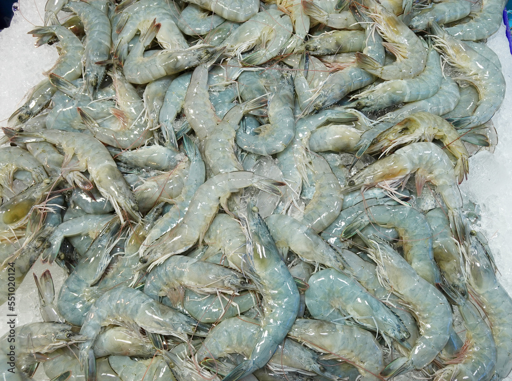 Fresh shrimps Fresh shrimps