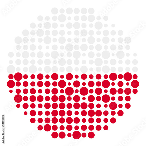 Poland Silhouette Pixelated pattern map illustration