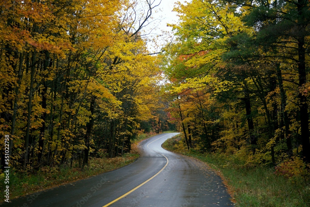 Obraz premium Beautiful landscape of a road through the autumn trees in Muskoka, Canada.
