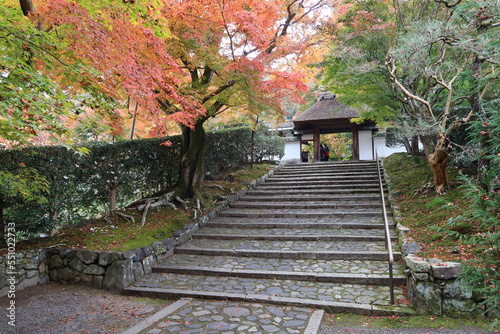 A Japanese temple in Kyoto : a scene of the entrance gate to the precincts of Honen-in Temple 京都の日本のお寺：法然院境内入り口にある茅葺き門の一風景 photo