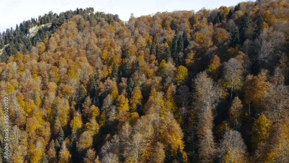 Drone flies over forest and mountain during november autumn season Drone flies over forest and mountain during november autumn season