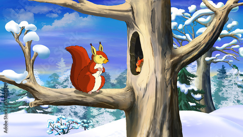 Red Squirrel illustration